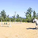 Elena-2 By Interhome Fucecchio